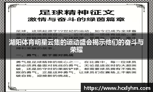 湖阳体育明星云集的运动盛会揭示他们的奋斗与荣耀